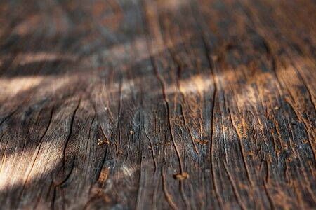 The surface of old wood to sunlight.の写真素材