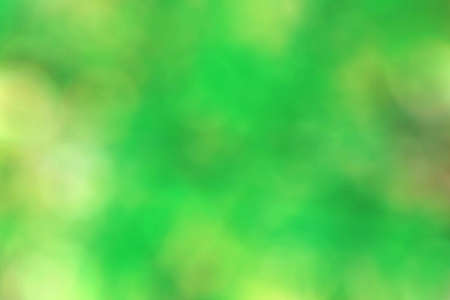 Colorful beauty of green with blurry background.の写真素材