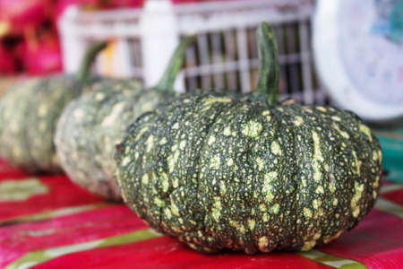 Green pumpkin on table of sold in the countryside.の写真素材