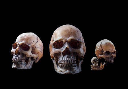 Many skull with a black background.の写真素材