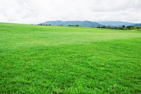 Green grassland on a mountain in the countryside.の写真素材
