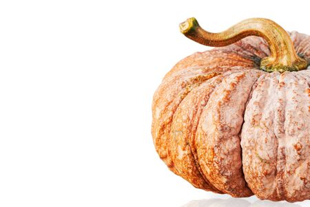 Yellow pumpkin on a white background.の写真素材