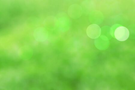 beautiful of green color with a blurry background.の写真素材