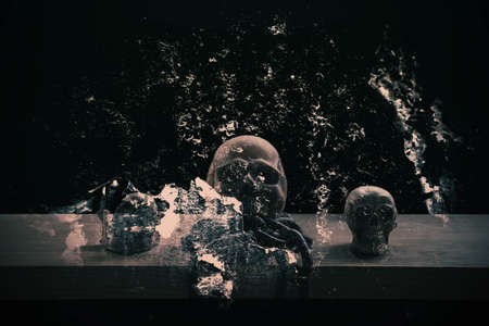 Skull on a wooden with black and white of art photo.の写真素材