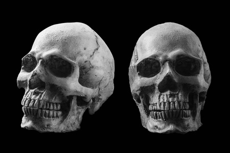 Skull with black and white on a black background.の写真素材