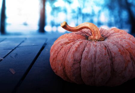 Orange pumpkin on wooden floor in the garden.の写真素材