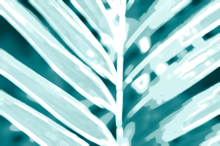 Palm leaves with art of background image.の写真素材