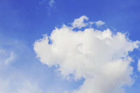 white cloud of animal on the sky.の写真素材