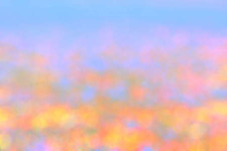 Colorful and beautiful, with a blurred background.の写真素材