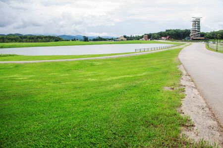 Lawn and ponds in the park.の写真素材