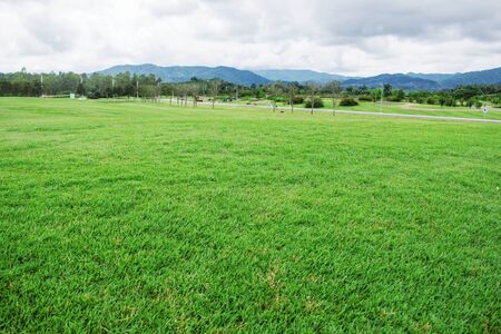 Lawn in the park with a mountain background.の写真素材