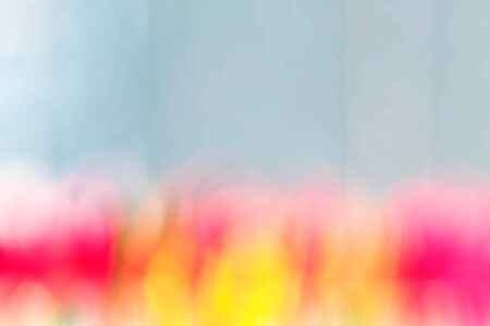 Colorful beauty of flowers on blue background with blurred images.の写真素材