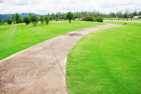 Footpaths on lawn in the park.の写真素材
