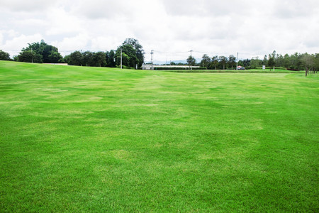 Lawn with hill in the park.の写真素材
