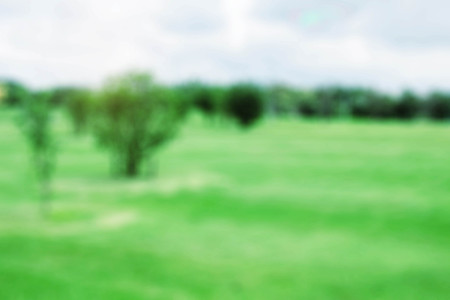 Blurry of trees on lawn in the garden.の写真素材