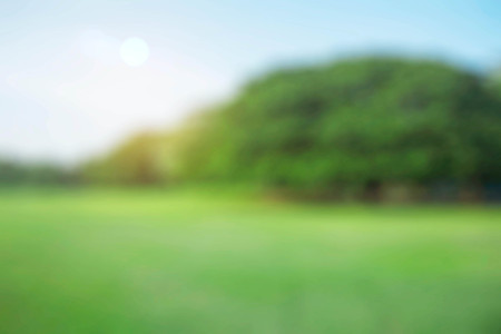 Green lawn in the garden with blurred images.の写真素材