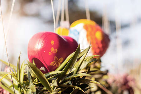 Red heart on flower pot with sun shine.の写真素材