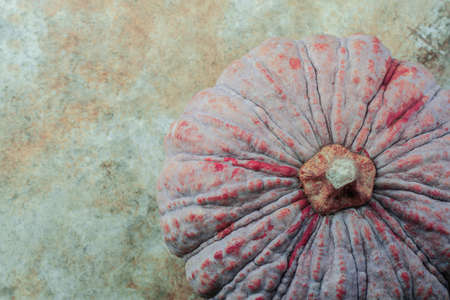 Pumpkin on the old cement floor.の写真素材
