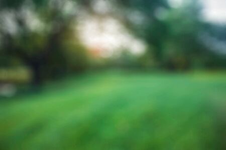 Lawn in the garden with blurred images.の写真素材