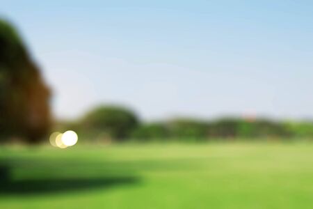 Lawn and trees with blurred images.の写真素材