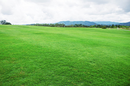 Green lawn with the mountain background.の写真素材