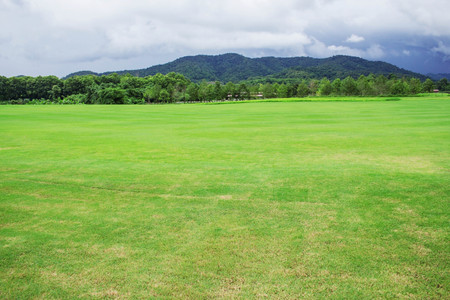 Lawns and mountains with the beauty of nature.の写真素材
