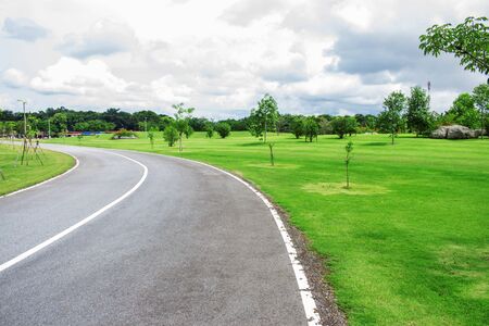 Roads and trees are planted on lawns in the garden.の写真素材