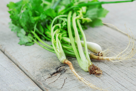 Celery and onion spring on wooden floor.の写真素材