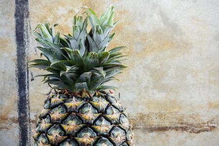 Pineapple with the old wall background.の写真素材