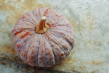 Pumpkin on the old cement floor.の写真素材