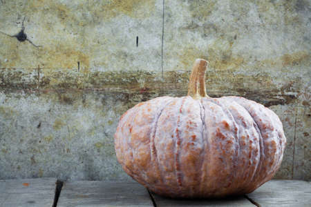 Pumpkin on wooden with the old wall.の写真素材