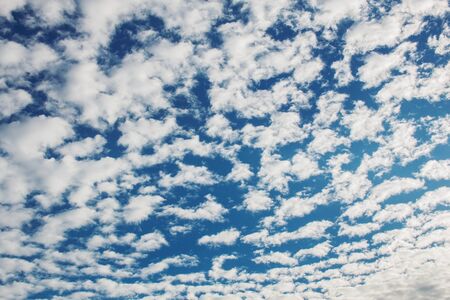 The sky with beauty of nature.の写真素材