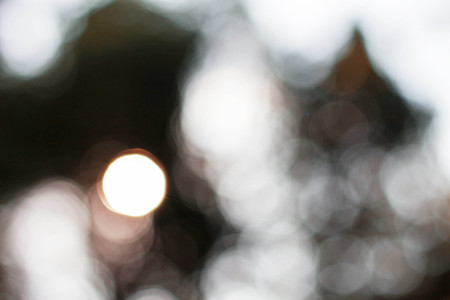Bokeh with the beauty of natural light.の写真素材