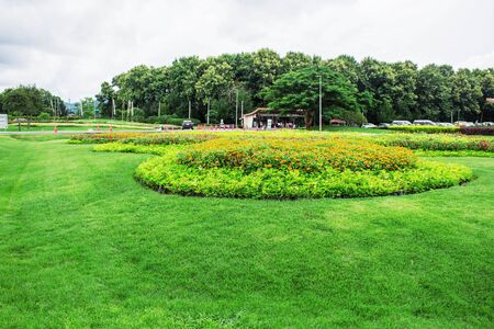 Green lawn and flower plots in the park.の写真素材