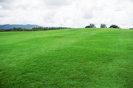 Green lawn and nature on hill in the park.の写真素材