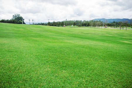 Green lawn on hill in the park.の写真素材