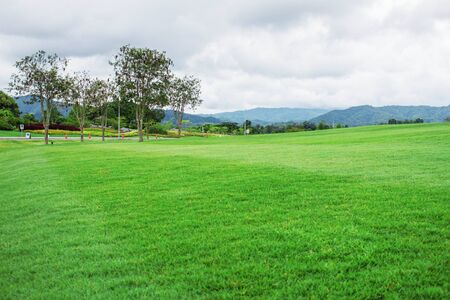 Green lawns in the park and mountain of nature.の写真素材