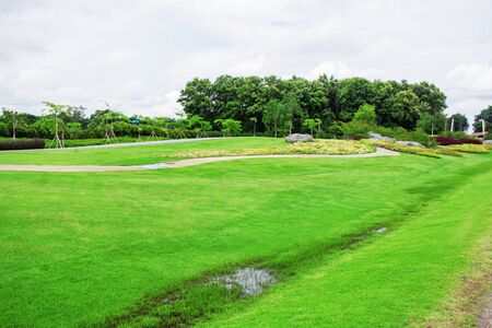 Lawn and water flooded in the park.の写真素材
