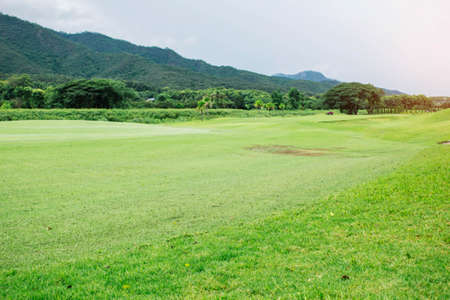 Lawn with nature and mountain in the countryside.の写真素材