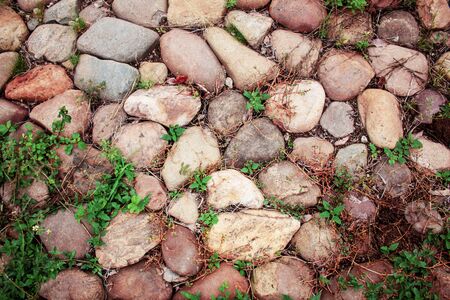 Stone and green plants with the pedestrian background.の写真素材