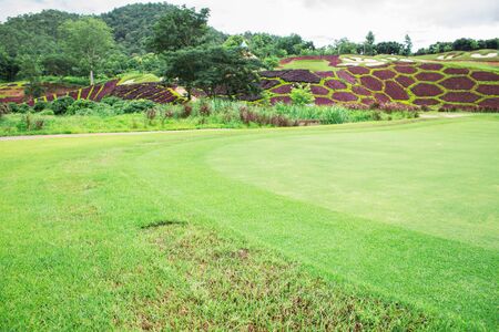 The lawn was cut in park.の写真素材