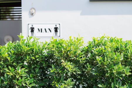 Ornamental planted in front of bathroom at the park .の写真素材