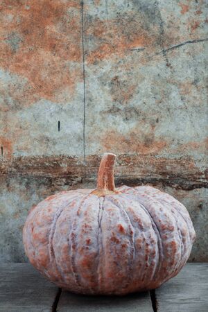 Pumpkin on the old wooden floor with a wall.の写真素材