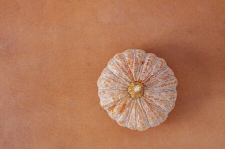 Pumpkin on wooden floor with top view.の写真素材