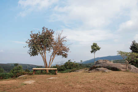 Bamboo seats and trees with blue sky.の写真素材
