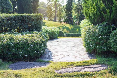 Ornamental and walkways in the garden.の写真素材