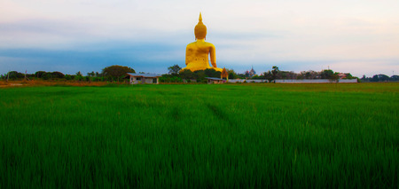 Buddha on the green field at morning.の写真素材