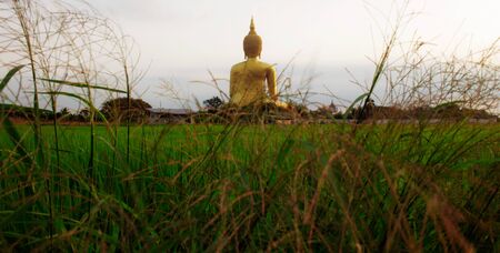 Buddha with grass on a green field in the morning.の写真素材