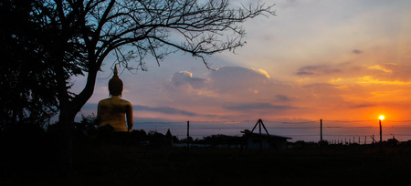 Buddha at a tree with the sunrise.の写真素材