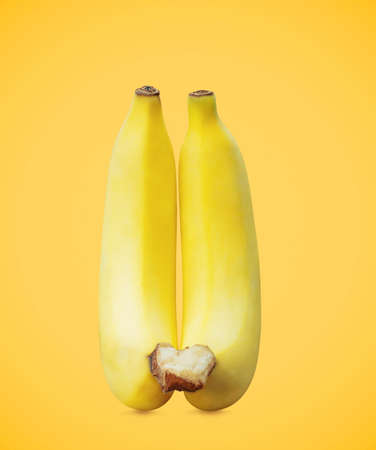 Banana on a colorful of yellow background.の写真素材